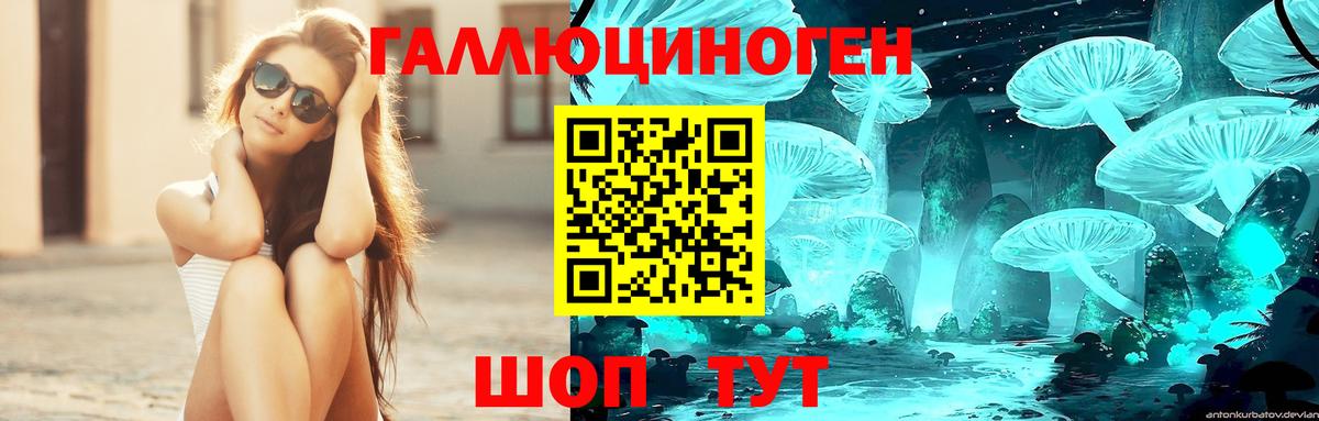 Галлюциногенные грибы Psilocybe Новочеркасск